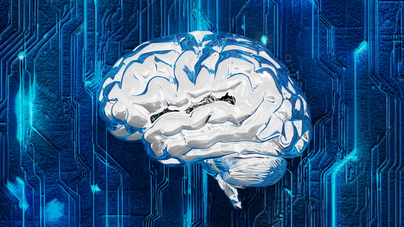 The Human Brain