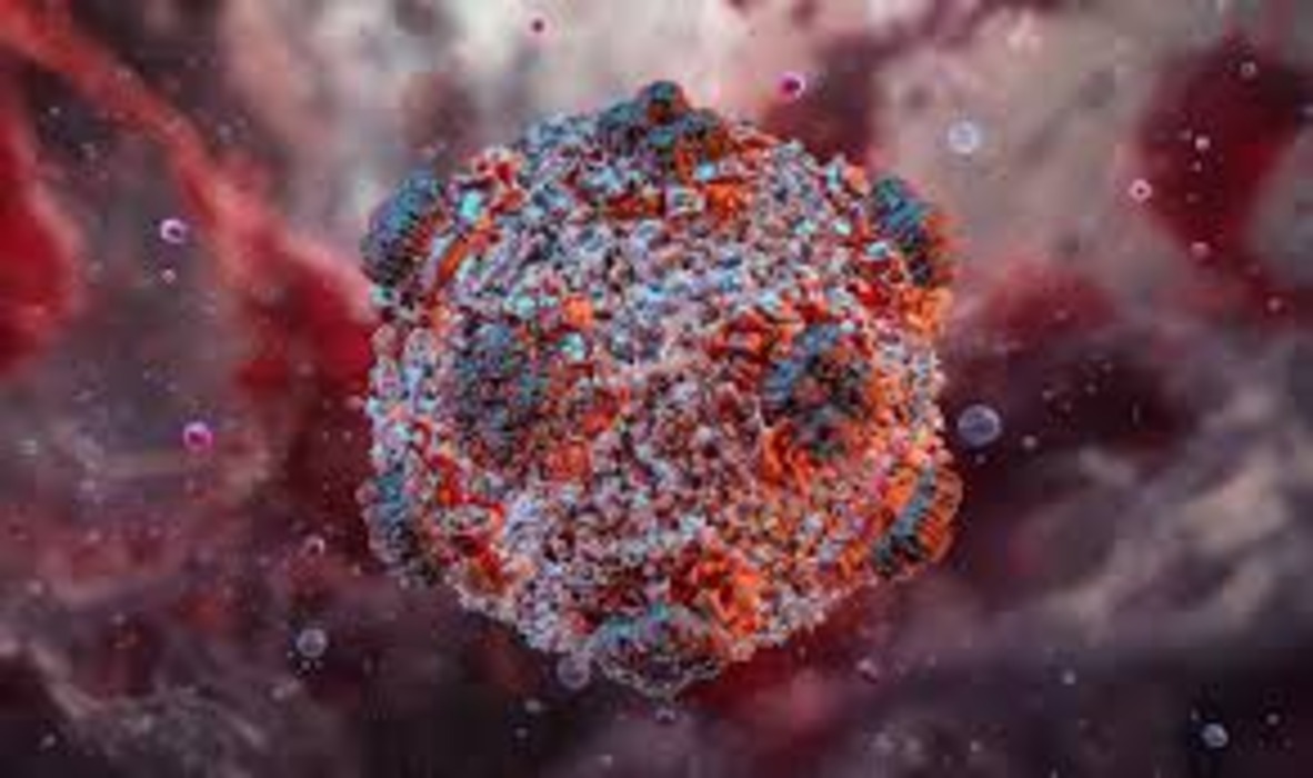 Hantavirus image
