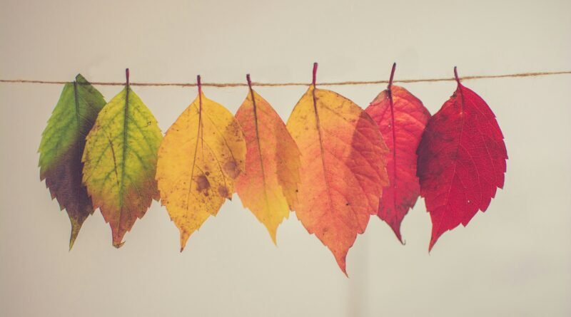 Seasons