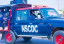 37 Miners Died in NSCDC Custody: What Happened in Niger State?